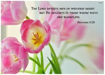 Book Of Proverbs Wallpaper This Is Me