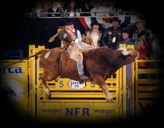 Bull Riding Background