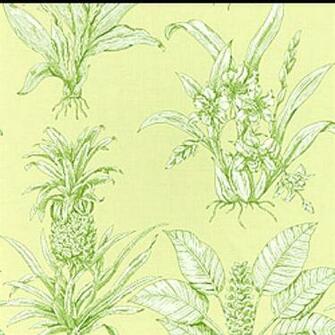 Thibaut Tropical Toile Wallpaper Dream Home
