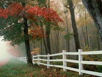 One Are Awesome Nature Wallpaper Those Three Seems Natural