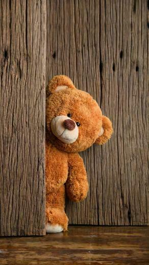 Funny iPhone Wallpaper Image 3d Floral Background Bear