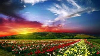 Paradise Wallpaper HD
