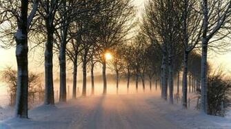 Misty Winter Afternoon Wallpaper