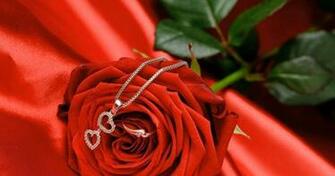 Happy Rose Day Wallpaper HD Pictures