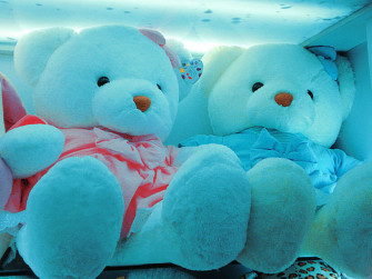 Cute Teddy Bear Wallpaper For Desktop HD