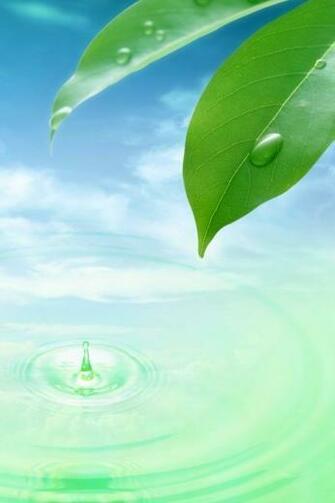 Apple Wallpaper iPhone Water HD Drops Green