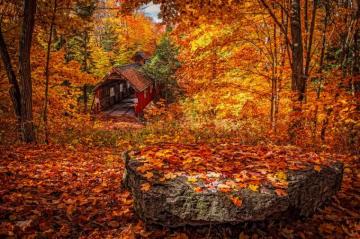 Fall Color Pictures Image