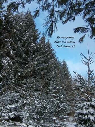 Enjoy Gentle Praise While Browsing Our To Use Gallery Below