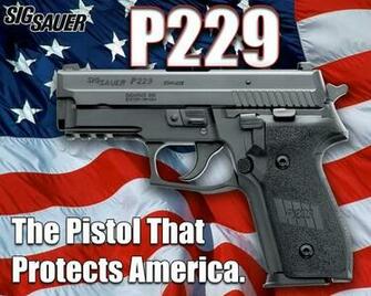Ssg Sig Pro X Five Sigarms Academy Shot Show P229 Got