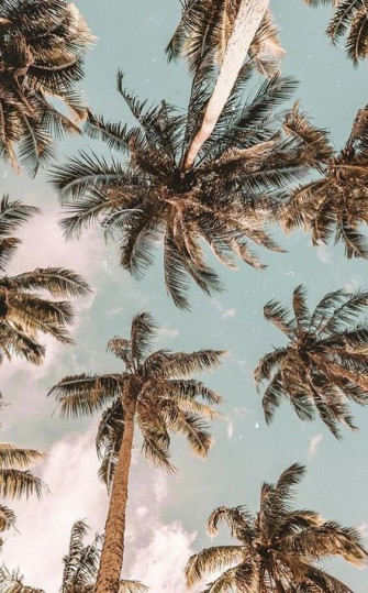 Mood Board Beach Inspiration Indie Twenty Jewelry Crafted