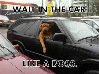 Fubarfarm2 Like A Boss Ii