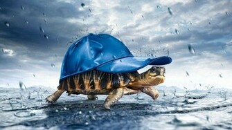 Very Funny Wallpaper For Fb