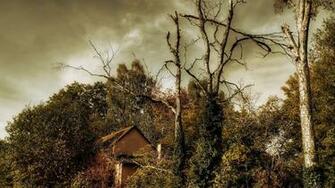 Hollywood Actress Wallpaper Nature Best Most Searched