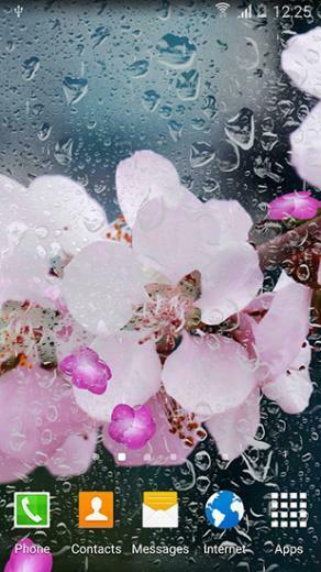Spring Flowers Live Wallpaper Screenshots How Does It Look