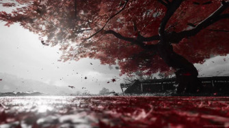 Ghost Of Tsushima Live Wallpaper Animated