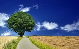 Seasons Weegee Pic All Rights Reserved Chainimage