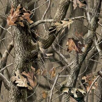 Realtree Camo Wallpaper HD Hardwoods