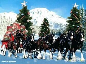 Clydesdale Horse Christmas Wallpaper