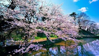 Nature Wallpaper Best Japan For