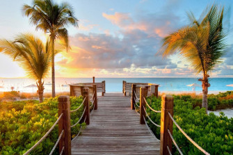 Beautiful Nature Wallpaper
