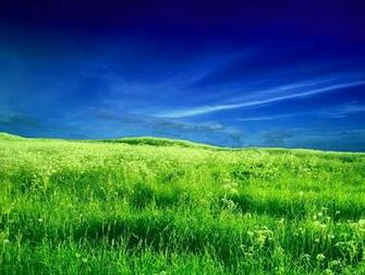 Tracy Gibson Field Background
