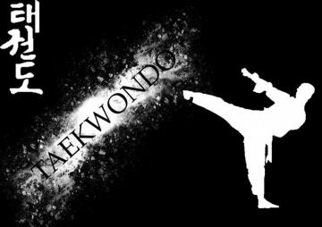 Taekwondo Wallpaper Top Background