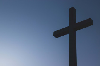 Reaching Higher Wallpaper