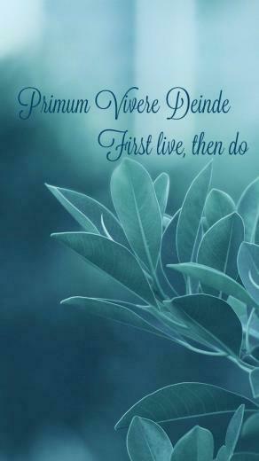 Primum Vivere Deinde First Live Then Do Latin Translation