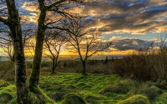 Wallpaper Northern Ireland Uk Nature Landscape Grass Trees