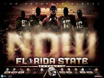 Florida State Baseball Garnet Wallpaper