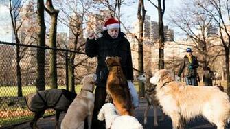 Share Your Christmas Spirit With Homeless Fur Babies Ourquadcities