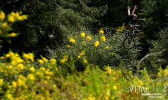 Vital Mtb Desktop Wallpaper Mountain Bikes Feature Stories