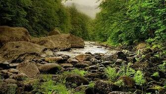 Peaceful Mountain Stream Wallpaper