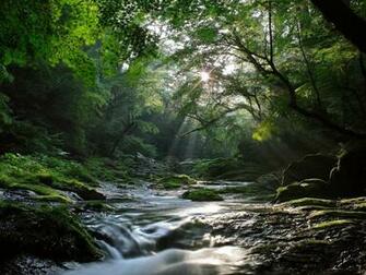 Stream Wallpaper Beautiful Desktop