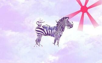 Cute Baby Zebras Wallpaper Zebra Image