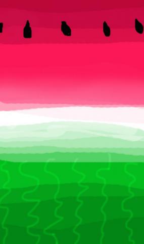 Watermelon iPhone Wallpaper