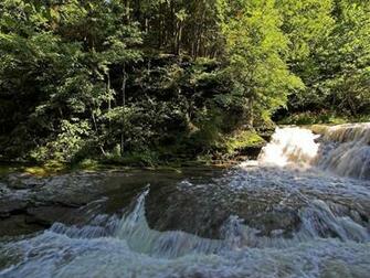 Water Scenes Wallpaper Waterfall River Pictures