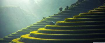 Asian Landscape Wallpaper Top Background