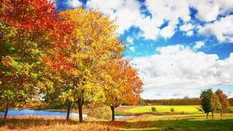 Autumn Wallpaper HD Desktop Sunny Day