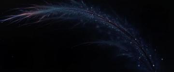 Purple Feather Feathers Black Background 2k Wallpaper