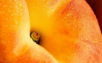 Peach Fruit Desktop Pc And Mac Wallpaper