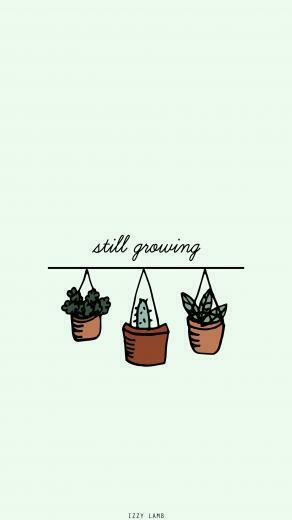 Wallpaper Plants Growth Growing iPhone iPhonewallpaper