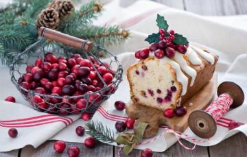 Wallpaper Winter Branches Berries Food Spruce Red Tree