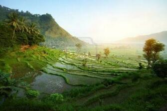 Bali Nature Wallpaper Compilation HD