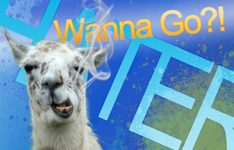 Llama Background By Loganfayle