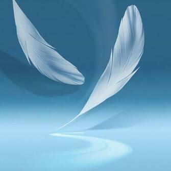 Samsung Galaxy Note Wallpaper Brazil Press