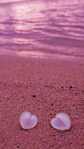 Valentine Beach Wallpaper