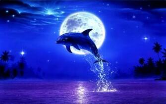 Resource Wallpaper Dolphin Moon Night Stars