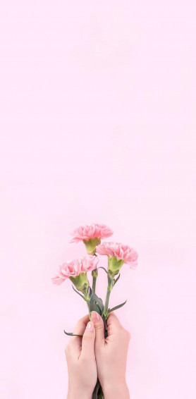 Aesthetic Baby Pink Wallpaper