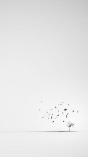 iPhone Minimalistic White Wallpaper Minimalist